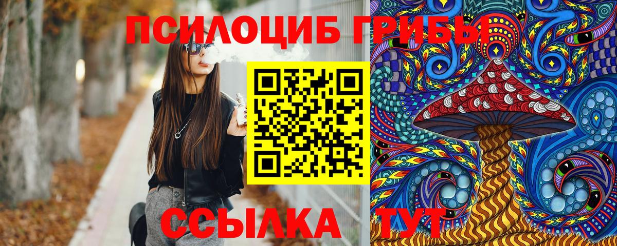 Топки  Псилоцибиновые грибы прущие грибы  Вход с VPN 