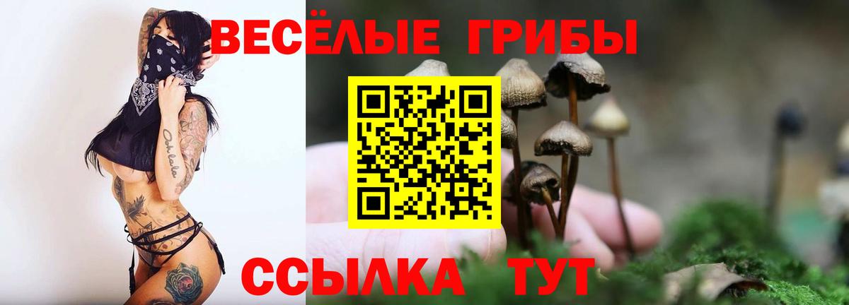 Галлюциногенные грибы мицелий Топки